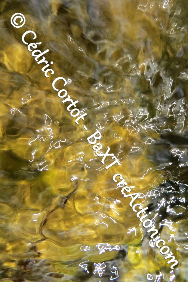 Impression sur alu dibond - Reflets et cours d'Eau (ref 6270)