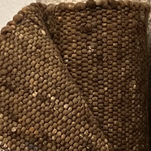 Champion Fiesta F gyapjú szőnyeg 170x240