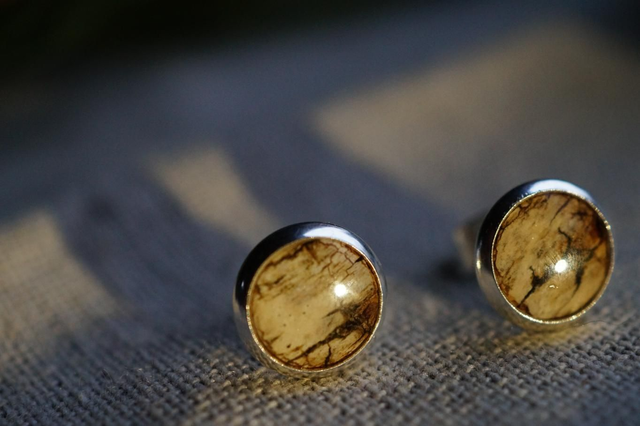 Clous d'oreilles - Bouleau