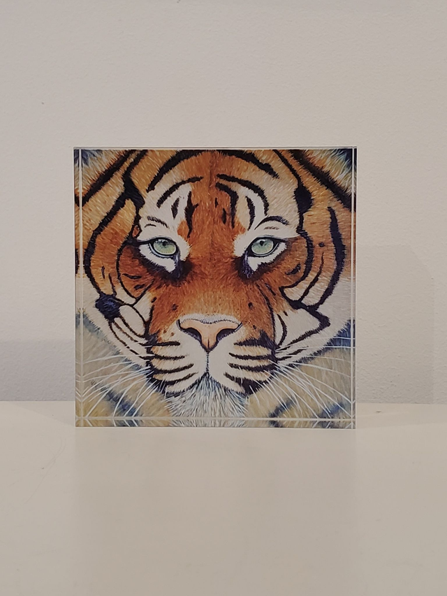 Impression sur verre acrylique - La tigresse