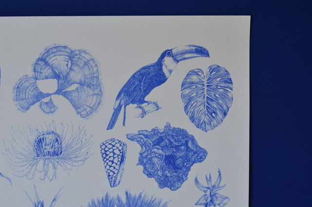 Affiche imprimée en risographie Bestaire I