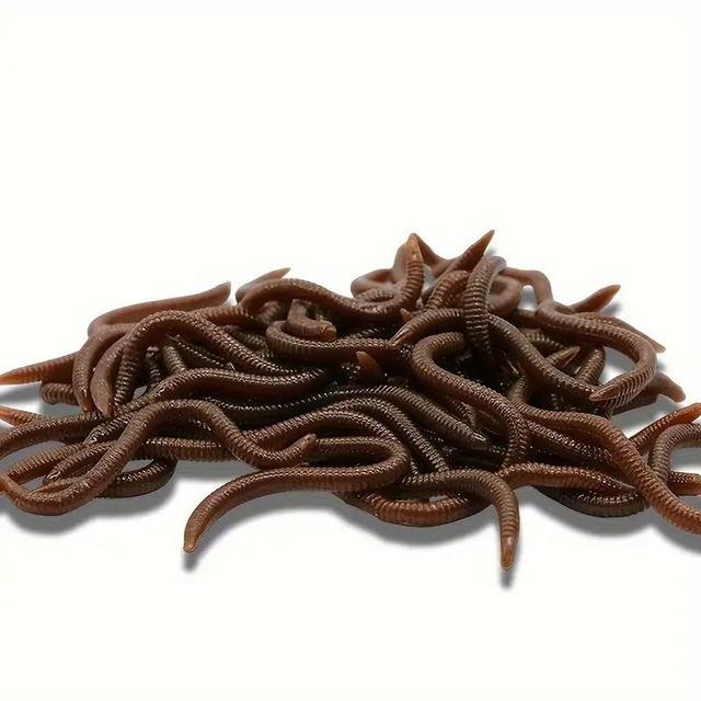 Leurres bionique de Pêche Réalistes en Forme de Ver 50 PC 