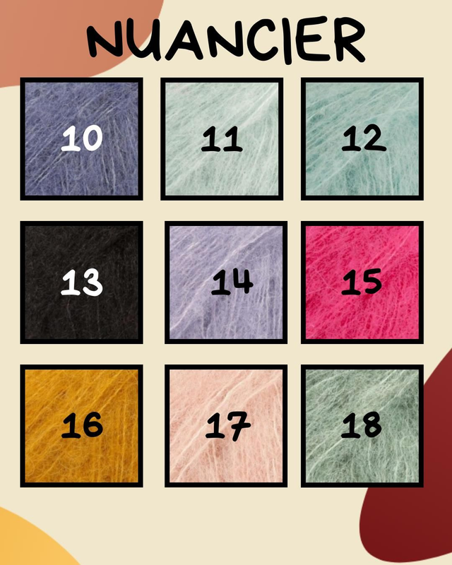 Pré-commande snood janvier/février