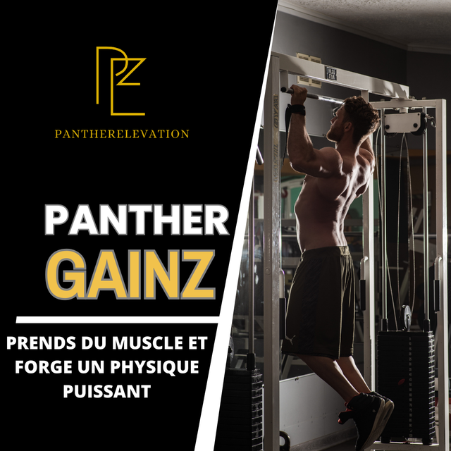 Panther Gainz (Prise de masse - Homme)
