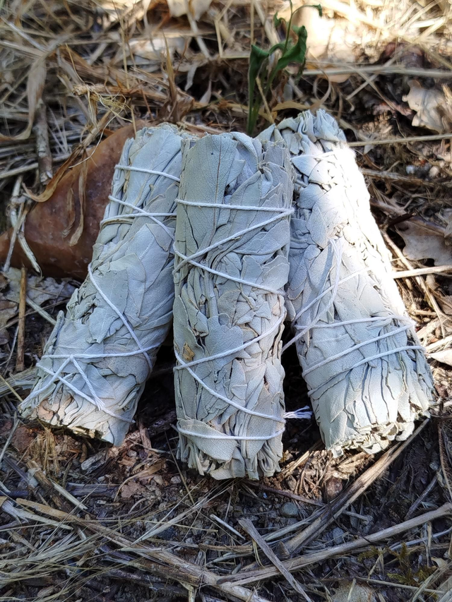 Bâton de sauge blanche 