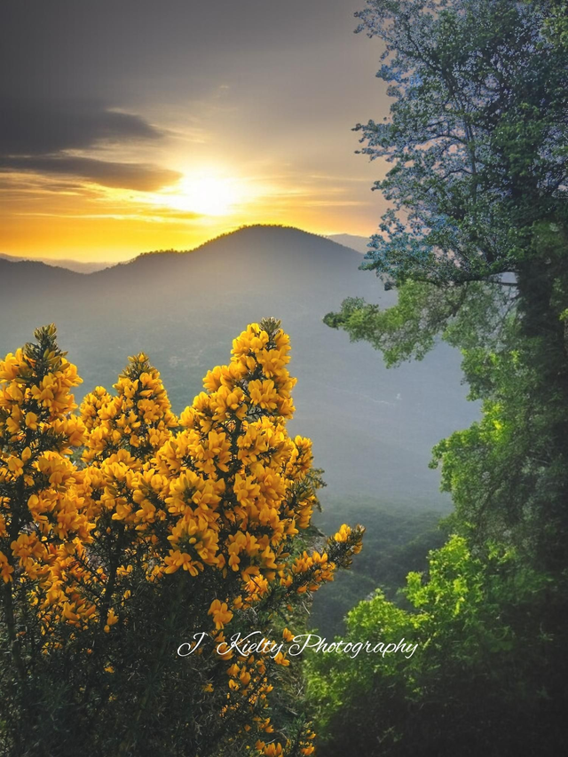 Sunset at The Ox Mountains, County Sligo. 