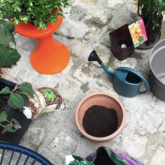 SÉANCE accompagnement végétal