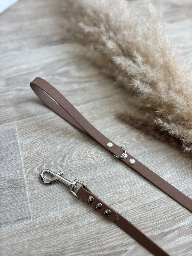 Laisse pour chiens Marron clair