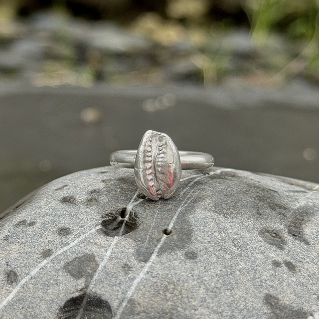 Silver Cowrie Shell Ring