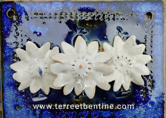 COMPOSITION Florale pour extérieur 14 X 19 cm