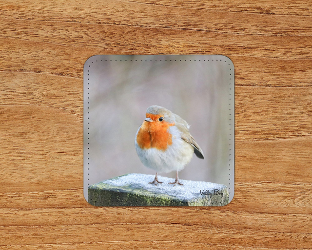 “Frosty Toes” Coaster 