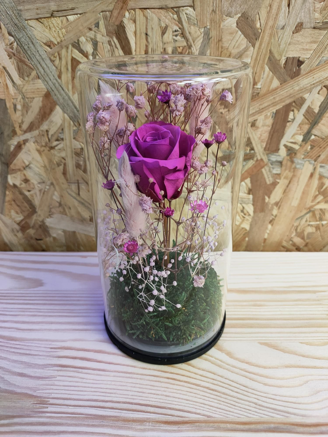 LJSDP_WEB0031 Bocal rose fuschia