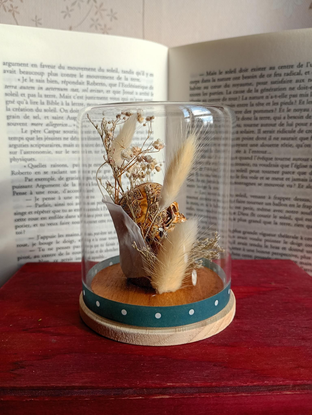 D11 mini crâne blanc