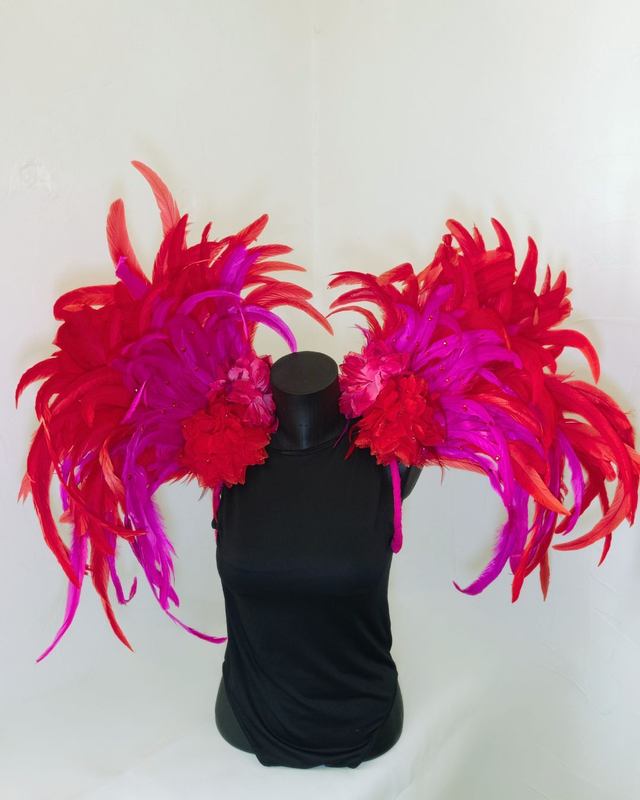 Costeiro Cleonina Samba Passion