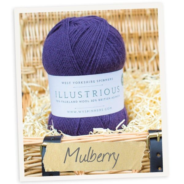 West Yorkshire Spinners Illustrious 100g/225m Mulberry 765