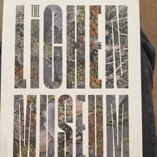 Lichen Museum Laurie Palmer