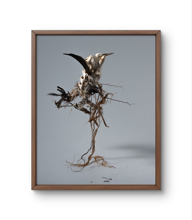 'The Observer' Fine art print Framed 30x40 cm 