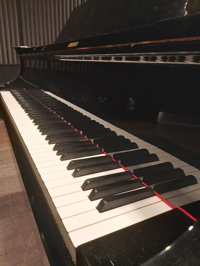 Newcastle - Sunday 1st March 2026 2.30pm - LPTP Attendance (Jesmond URC)