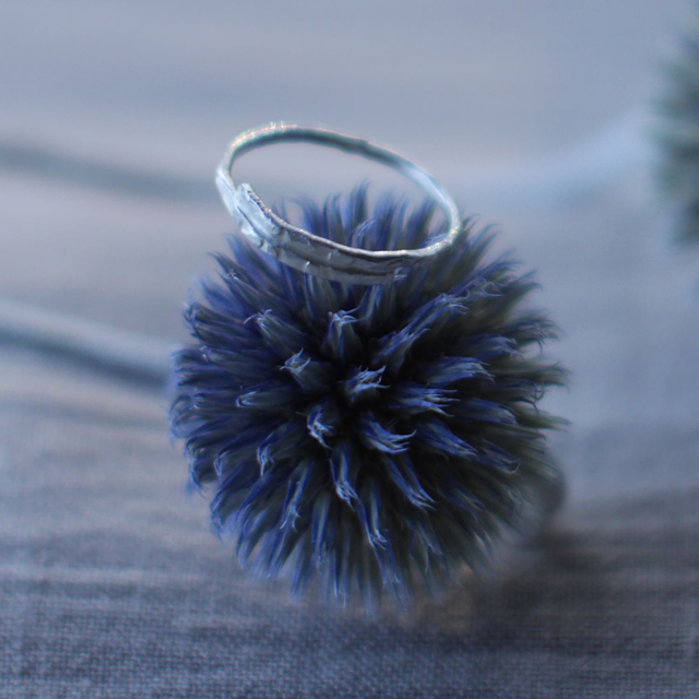 Anneau Echo d&#039;Argent