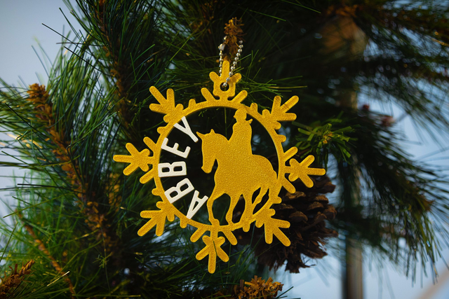 Horse Riding Decoration 