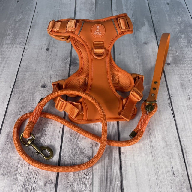 Orange Rope Lead with Waterproof BioThane® Handle