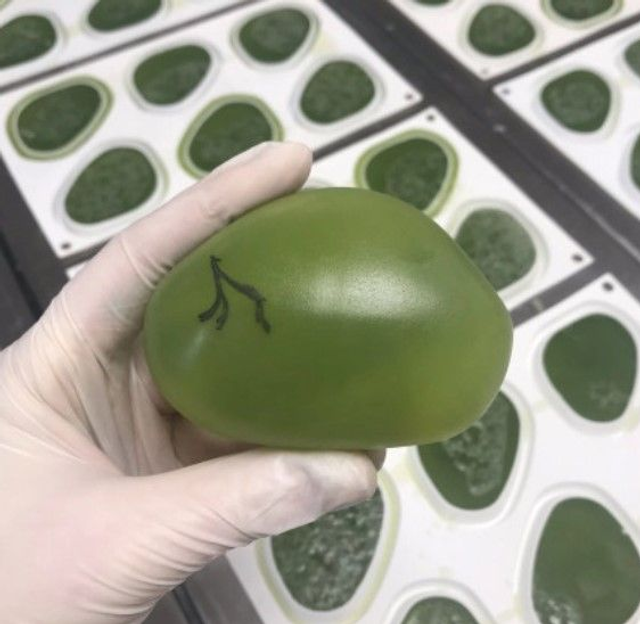 Galet de savon aux Algues 100g