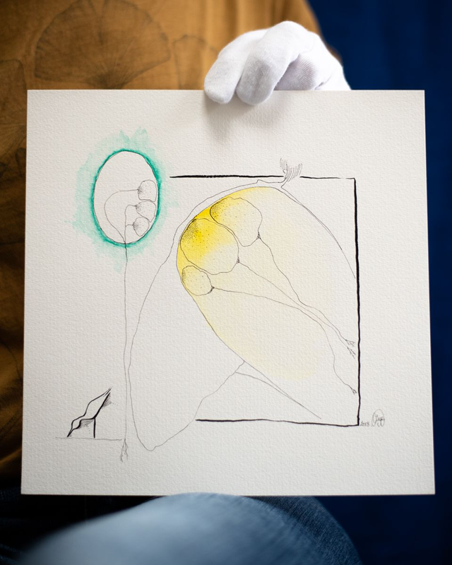 Ignorante attraction