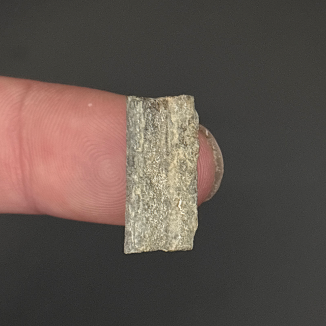 Ichthyosaur Bone Fragment