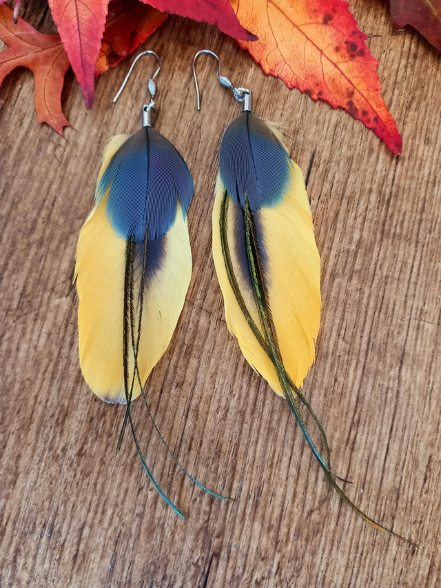 Boucles d&#039;oreilles ara