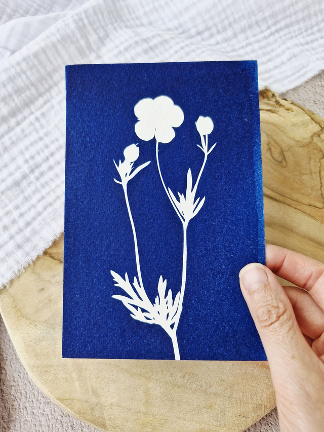Mini CyanÔ - Carte - Bouton d'or #2 