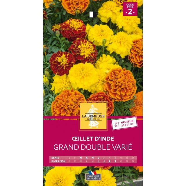 OEILLET D&#039;INDE GRAND DOUBLE VARIE