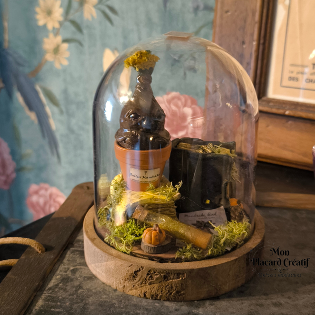 Plante magique Mandragore