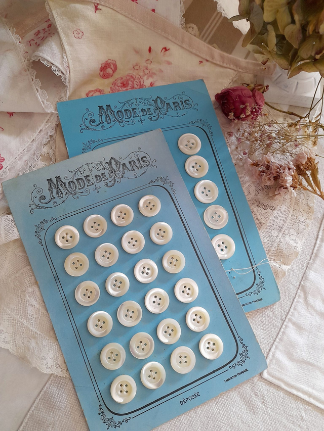 2 Grandes Plaques de boutons de nacre Mode de Paris