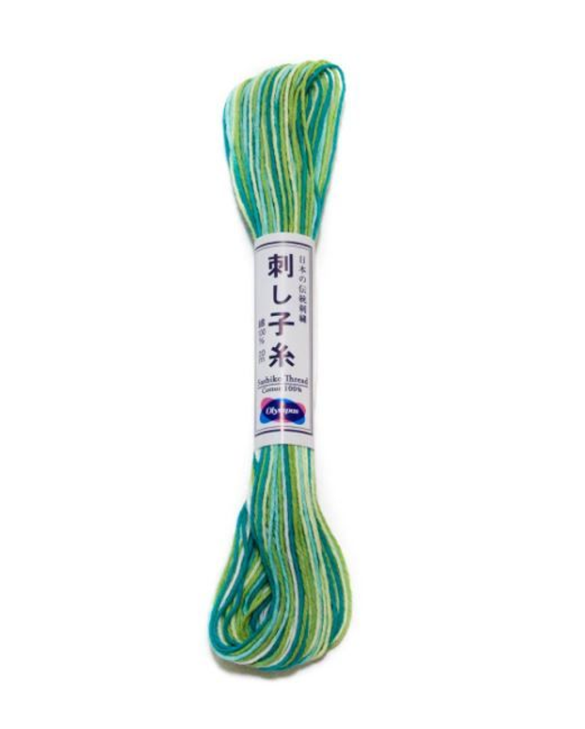 51 - FIL SASHIKO DEGRADE 20M