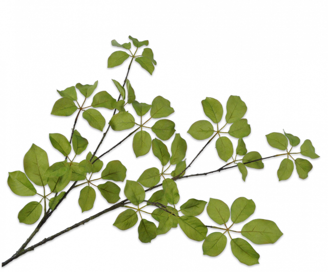 Silk-Ka Bladtak Groen 