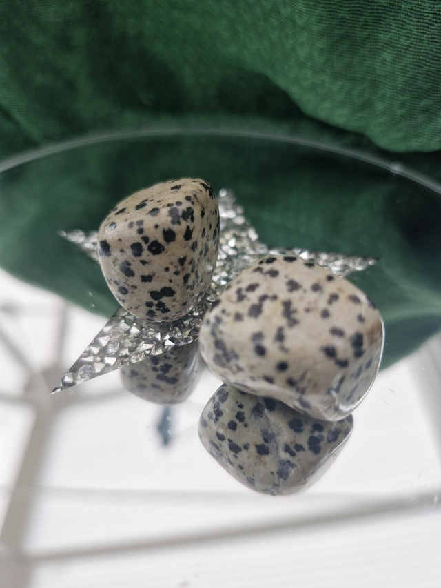 Dalmatian Jasper Tumblestone