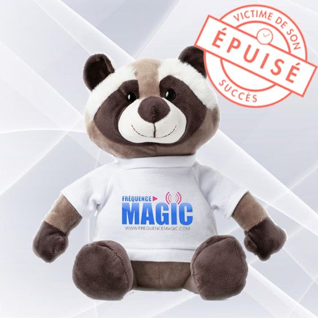 PELUCHE RATON LAVEUR