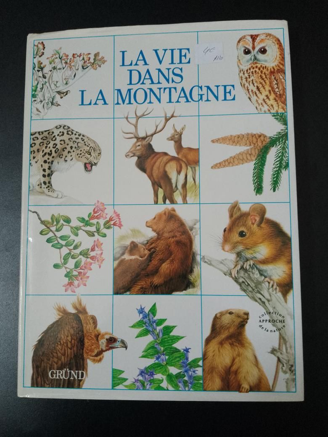 La vie dans la montagne