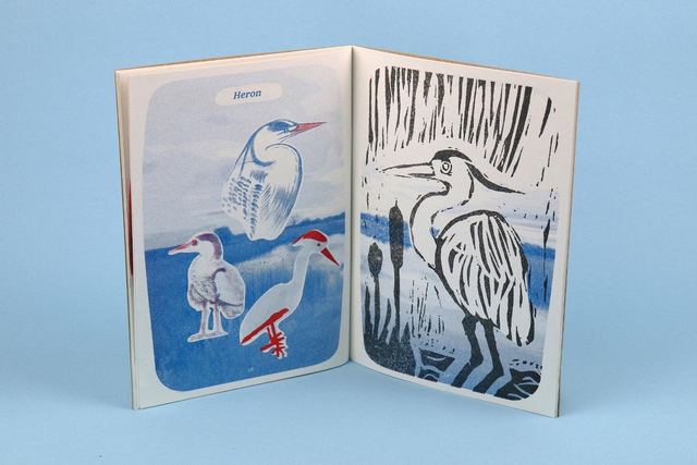 Shoreline, Skyline, Treetop Messenger