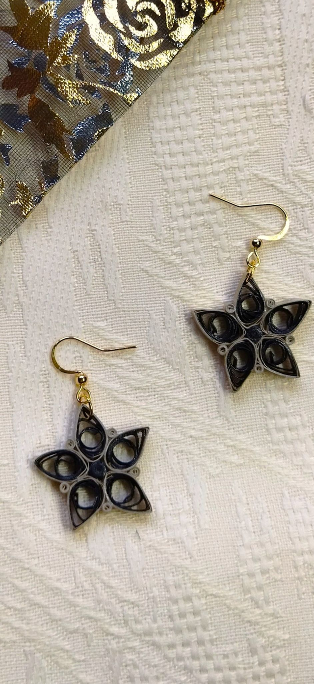 Etoiles nocturnes éclatantes