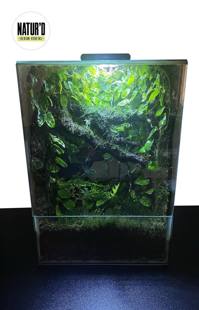 Nanoterrarium