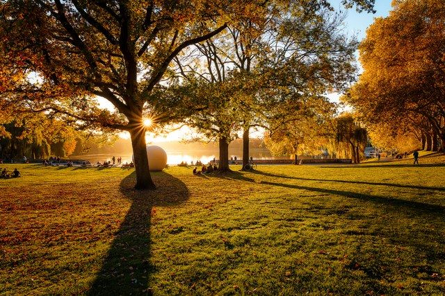Abendlicht auf der Aaseewiese