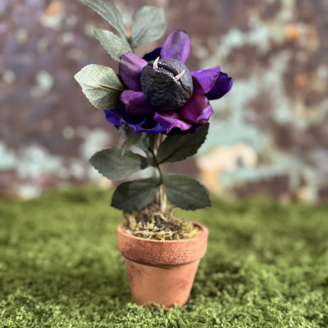 32.🌑 Specimen: The Viper’s Bloom