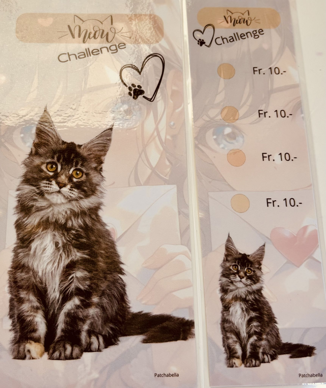 Miaou 1