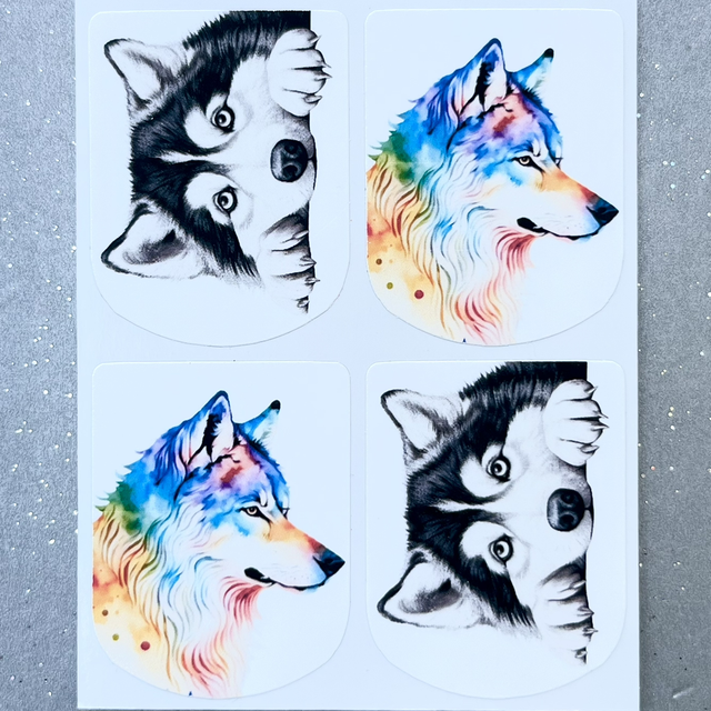 Husky Dog Colourful Stickers (Set of 4)