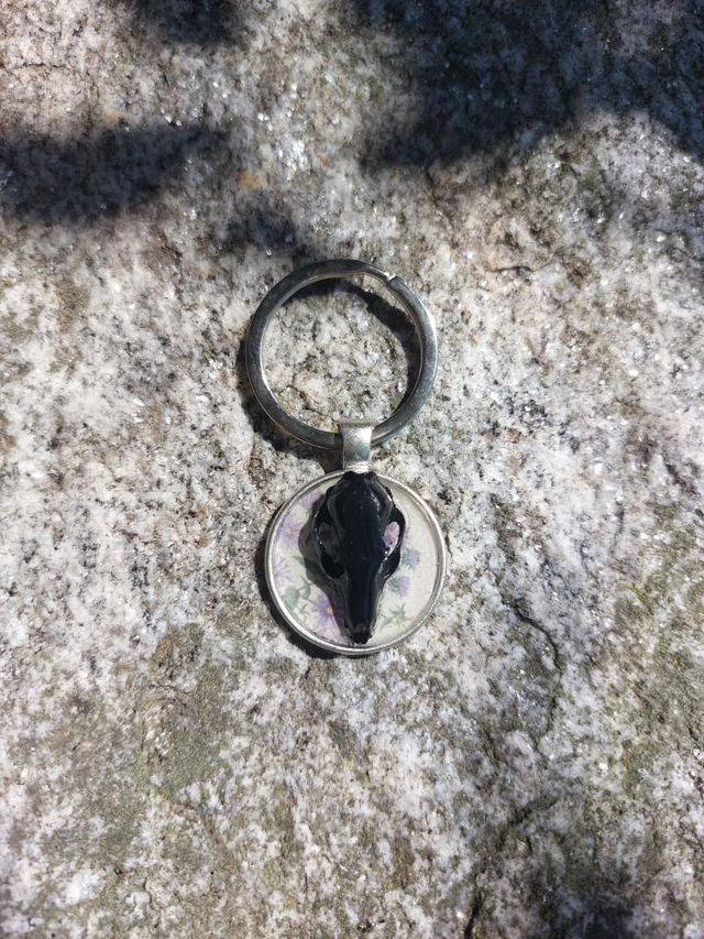 Porte clé crâne de renard gris