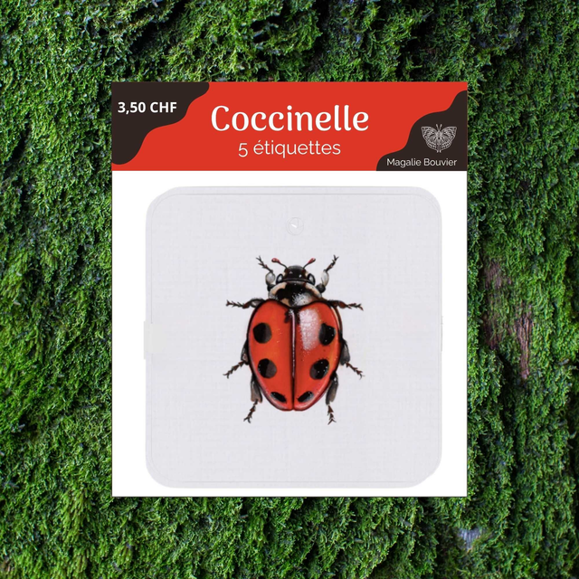 Pack étiquettes volantes - coccinelle
