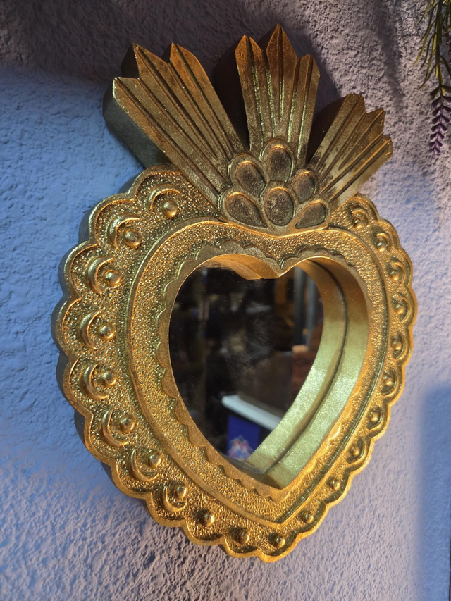 Heart mirror