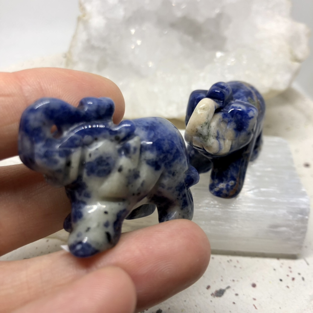 Éléphant Sodalite