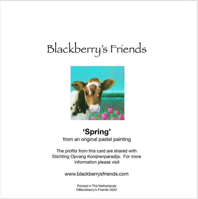 Greeting Card 'SPRING' (Konijnenparadijs)